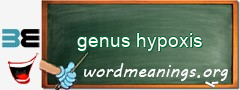 WordMeaning blackboard for genus hypoxis